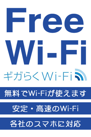 MK炭Wi-Fi